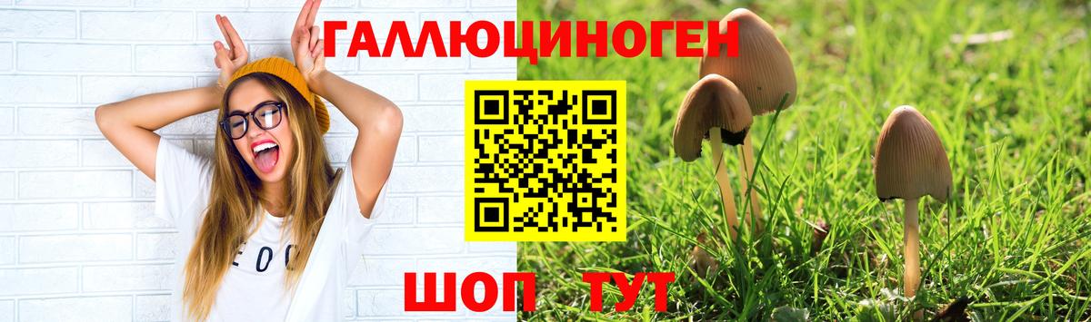 Унеча  Галлюциногенные грибы MAGIC MUSHROOMS  Псилоцибиновые грибы Psilocybe  Вход с VPN 