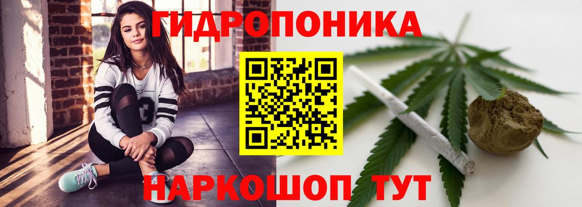 Шишки марихуана тримм  Вход с VPN  Канабис OG Kush  Унеча 